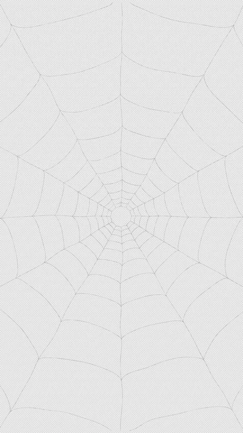 A spider's thread stretches to form a polygonal web 库存影片 341797855