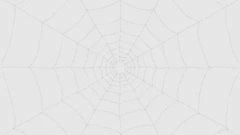 A spider's thread stretches to form a polygonal web 库存影片 341797857