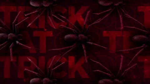 Spiders Trick Or Treat Background 스톡 동영상 264283231