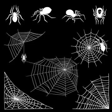 Spiders vector web silhouette spooky spider nature halloween element cobweb Stock Illustration
