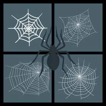 Spiders vector web silhouette spooky nature halloween element cobweb decoration Stock Illustration