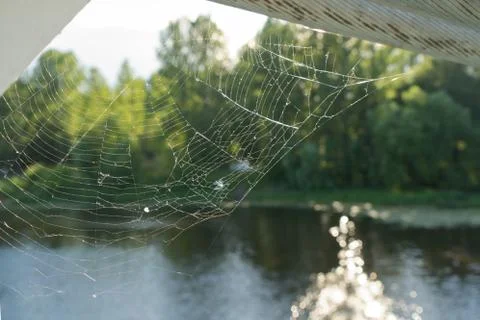 Spider's web on the background of blurred river Stock Photos