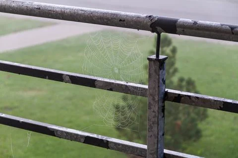 Spider's web on balcony railings Stock Photos