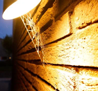 A spider's web between a lamp and a brick wall, illuminated by the lamp Stock Photos