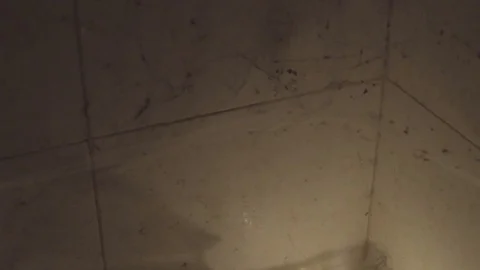 Spiders web on dirty tiles Stock Footage 89620262