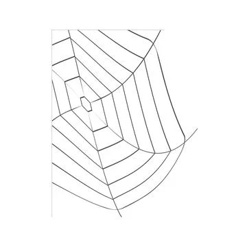 Spiders web figured on a white background Stock Illustration
