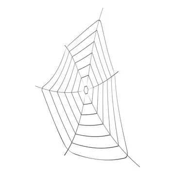 Spiders web figured on a white background 스톡 일러스트