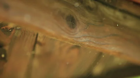 A Spiders Web. Stock Footage 40834862