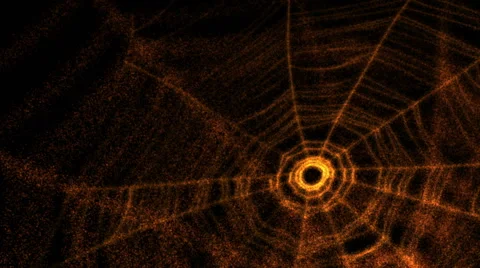 Spider's web Stock Footage 61776854