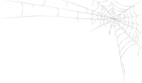 Spider's web frame. vector illustration, spiderweb backgound Illustrazione stock