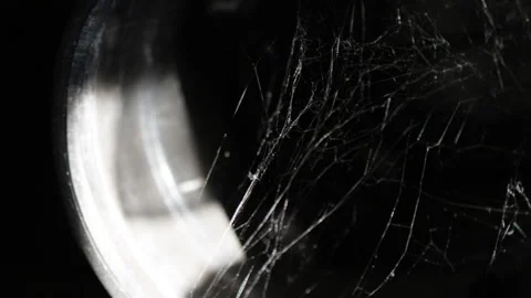 A spiders web glows in sunbeams within a dark space. Video stock 314910705