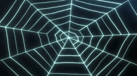 Spider's Web Loop Animation | Stock Video | Pond5