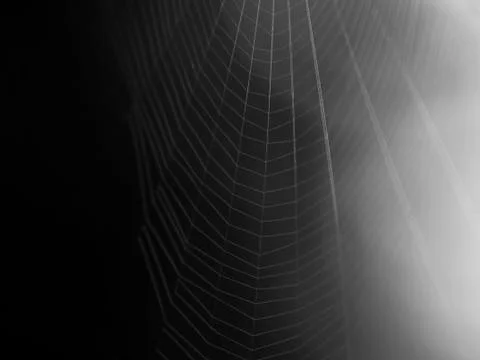 Spider's web at night Stock Photos