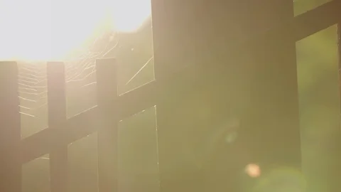 Spider's web on pavillion Vídeo Stock 88352768