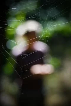In the spider's web Stock Photos