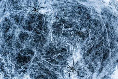 Spiders on the web. Spiders of different sizes and colors. Spiders toys Stock Photos