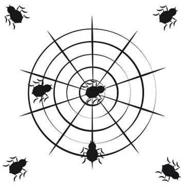 Spiders on white background Stock Illustration