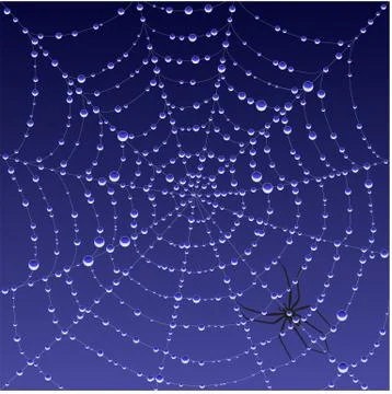 Spiderweb background Stock Illustration