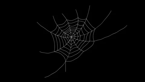 Spiderweb on Black Background. Stock Footage 318171787