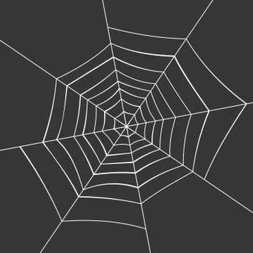 Spiderweb on a Black Background. Vector Stockillustratie