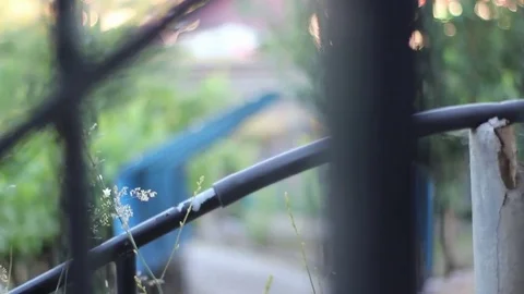 SPIDERWEB WITH BOKEH Stock Footage 78766969