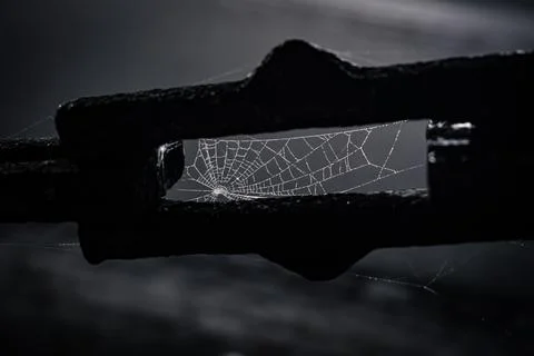 Spiderweb in a Chain Stock Photos