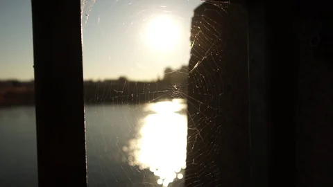 Spiderweb close up with sunset in background Stock Footage 93162769