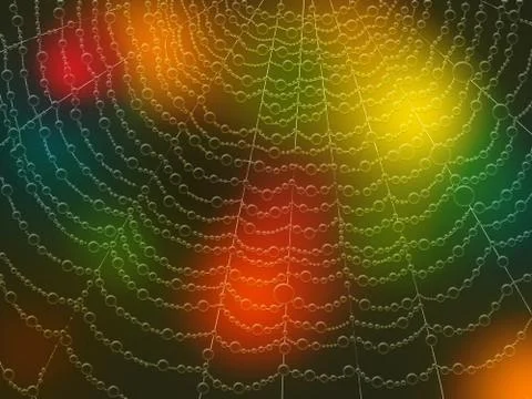 Spiderweb on colorful background Stock Illustration