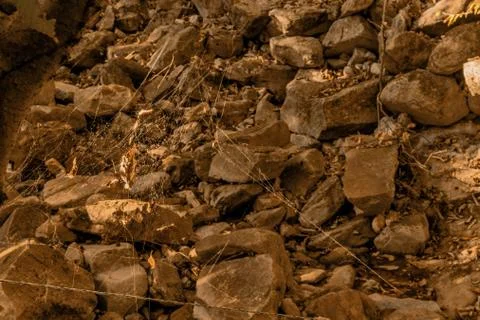 Spiderweb in dry riverbed. Stock Photos