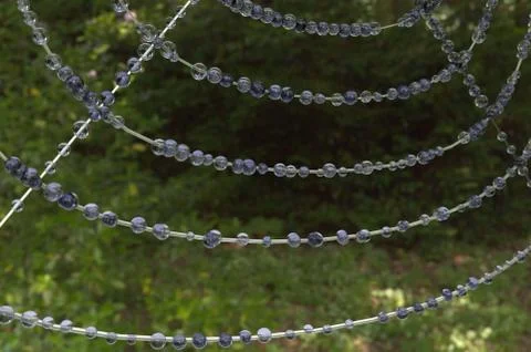 Spiderweb in the forest wih drops Stock Illustration