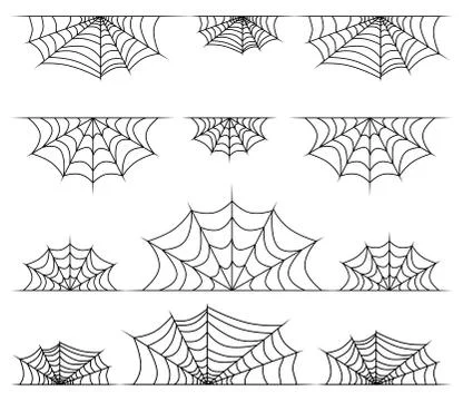 Spiderweb frame, border, divider isolated on white background Stock Illustration