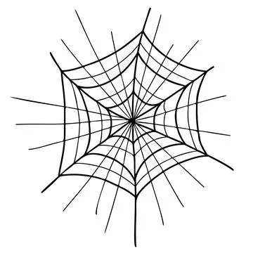 Spiderweb. Halloween cobweb. Close up. Linear hand drawing. Vector illustrati Stock Illustration