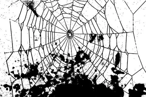 Spiderweb Stock Illustration