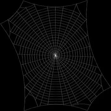 Spiderweb. Isolated on black background. Sketch illustration. Illustrazione stock