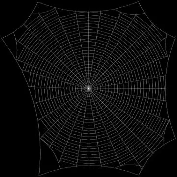 Spiderweb. Isolated on black background. Sketch illustration. 库存插图