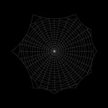 Spiderweb. Isolated on black background. Vector outline illustration. 스톡 일러스트