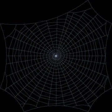 Spiderweb. Isolated on black background. Vector outline illustration. 스톡 일러스트