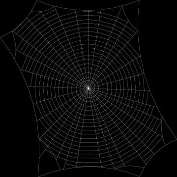 Spiderweb. Isolated on black background. Vector outline illustration. Иллюстрация