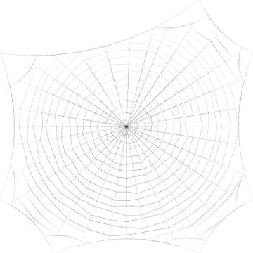 Spiderweb. Isolated on white background. Sketch illustration. 스톡 일러스트
