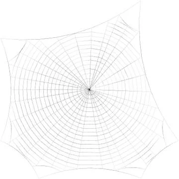 Spiderweb. Isolated on white background. Sketch illustration. Stock Illustration