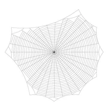 Spiderweb. Isolated on white background. Vector outline illustration. Иллюстрация