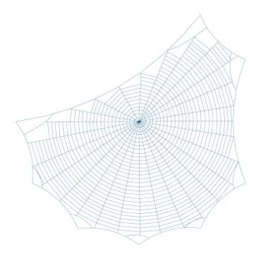 Spiderweb. Isolated on white background. Vector outline illustration. 스톡 일러스트