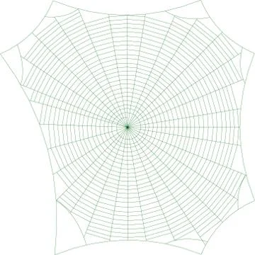 Spiderweb. Isolated on white background. Vector outline illustration. Иллюстрация