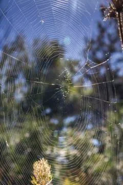 Spiderweb mirror Stock Photos