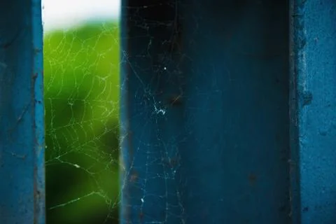 Spiderweb Stock Photos