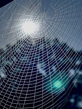 Spiderweb Stock Photos