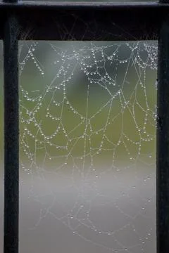 Spiderweb in the shape of a square in a window Stock Photos