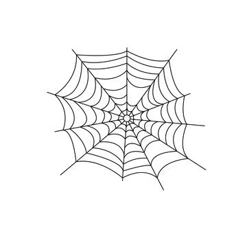 Spiderweb simple hand drawn vector outline illustration of doodle fancy Stock Illustration