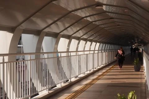Spiderweb Style Ceiling Ribs at Bogor Station Skywalk Фото