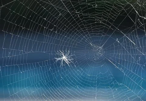 Spiderweb texture and pattern macro stock photo Stock Photos